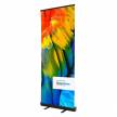Roll Ups y Banners (205)