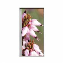 Door Wrap 80 Flower Erica