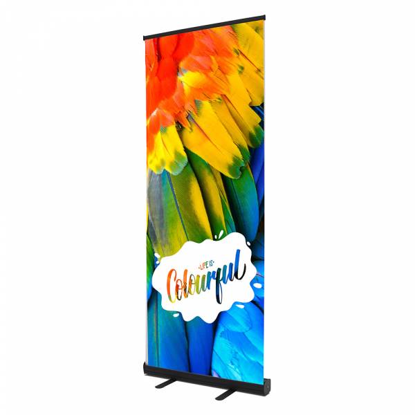 Roll Up Económico (850x2000)