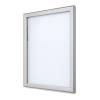 Outdoor Lockable Showcase Slim SCLE - 11