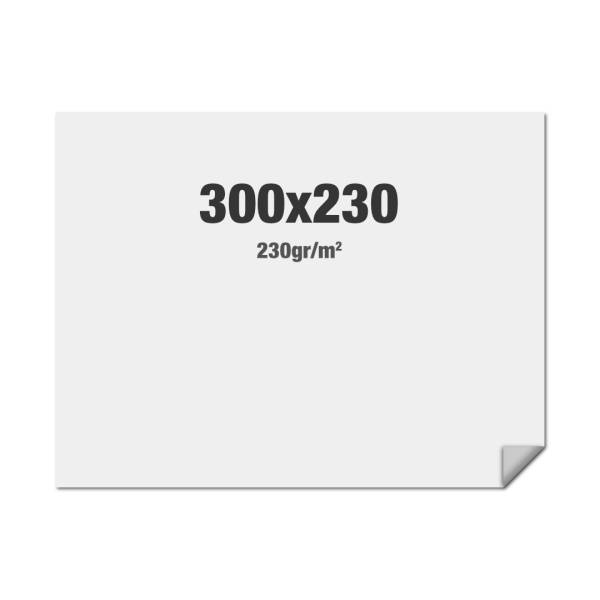 Gráfica compatible con FlexFrame Pared 300 x 230 cm