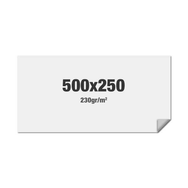 Gráfica compatible con FlexFrame Pared 500 x 250 cm