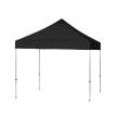 Carpa Canopy Color (6)