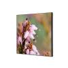 Decoración Textil de Pared SET A1 Flor Rosa Erica - 0