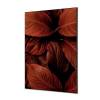 Decoración Textil de Pared SET A2 Hoja Botánica Roja - 4