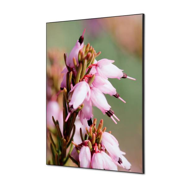 Decoración Textil de Pared SET A1 Flor Rosa Erica