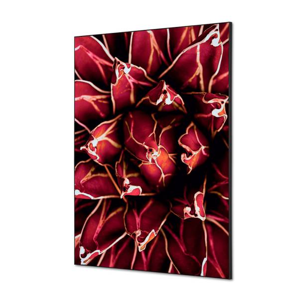 Decoración Textil de Pared SET A1 Cactus Rojo