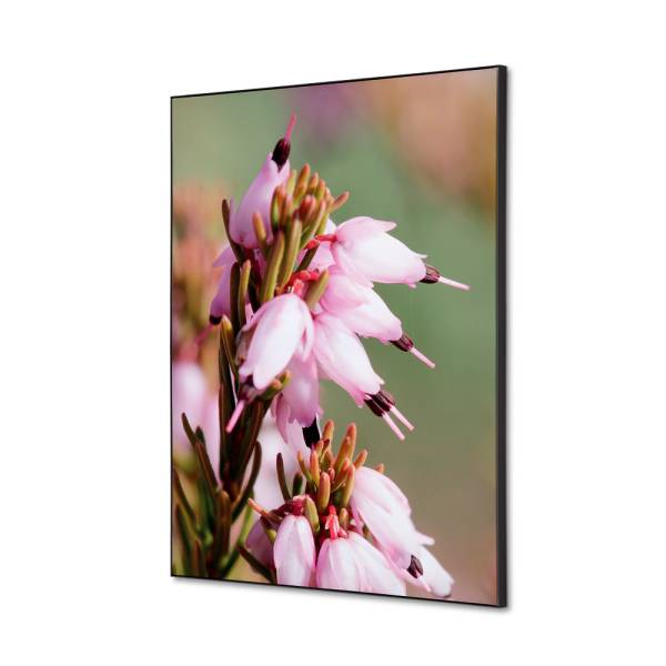 Decoración Textil de Pared SET A2 Flor Rosa Erica