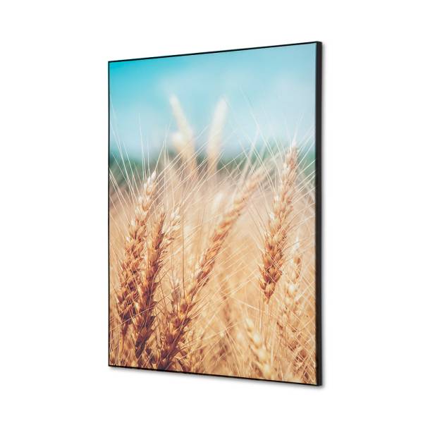 Decoración Textil de Pared SET A2 Campo de Grano