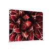 Separador Textil 200-150 Doble Cactus Rojo - 3